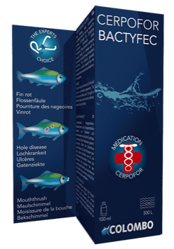 Colombo BACTYFEC - Aquariummedicijn