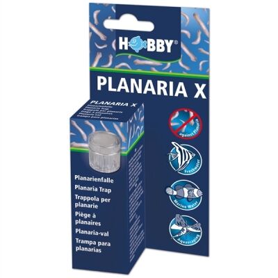 HOBBY PLANARIA X - Planariaval