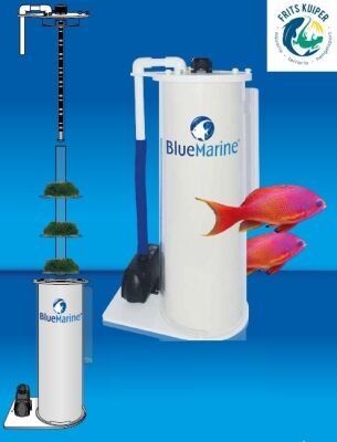 Blue marine Algae Reactor