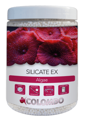 Colombo Marine Silicate EX