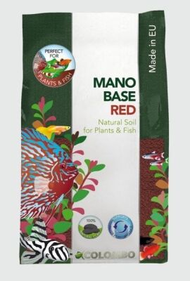 Colombo-flora-mano-base-red