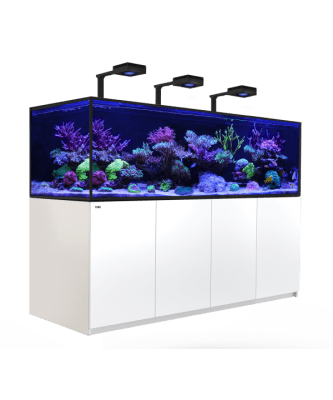red-sea-reefer-s-deluxe-1000-wit