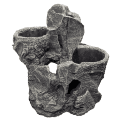 superfish rock planty s