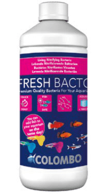 Colombo Fresh bacto 1000ml