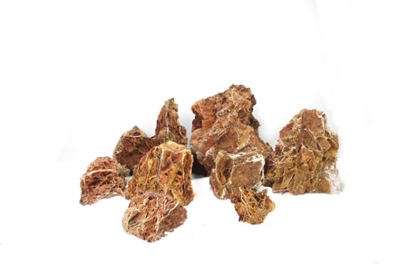 Wabi Kusa Maple leaf rock