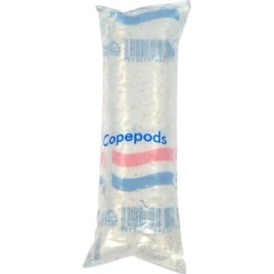 Levend Voer - Copepoden Copepods