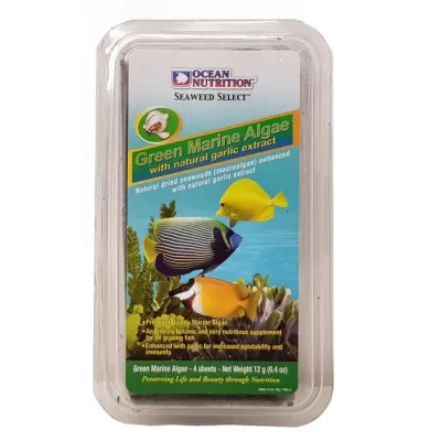 Ocean Nutrition Seaweed_Marine Algae Green