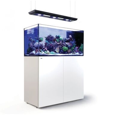 Red Sea Reefer Peninsula P500 Deluxe