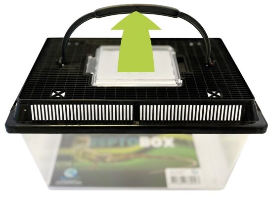 Repto Box 27x17x16 cm - Transport bak Reptielen