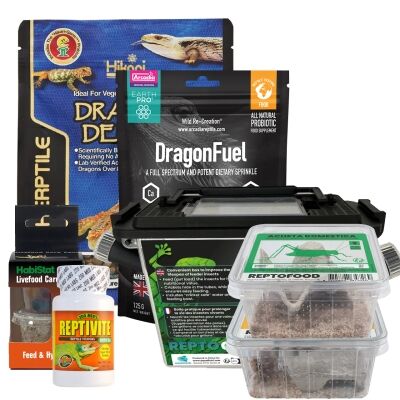 Baardagaam Starters Kit Voeding – Complete Voeding Kit Baardagaam