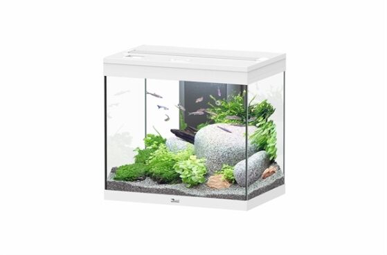 Aquatlantis Splendid 60 aquarium wit