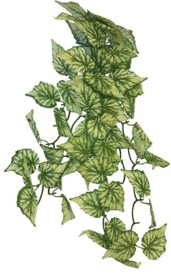 Repto Plant Hanging Hedera - Kunstplant Terrarium