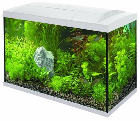 Superfish Start 100 Tropical Kit - Starterskit Aquarium - Afbeelding 2