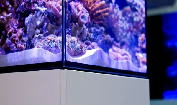 Red Sea Max Nano - Afbeelding 3