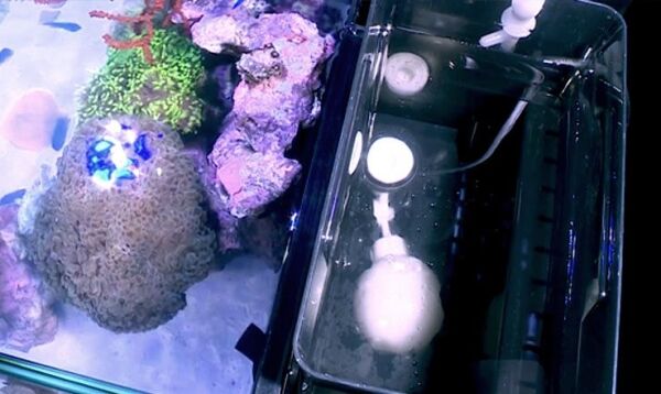 Red Sea Max Nano - Afbeelding 4