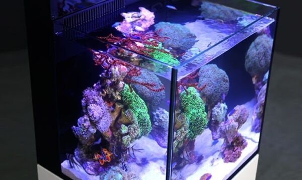 Red Sea Max Nano - Afbeelding 5