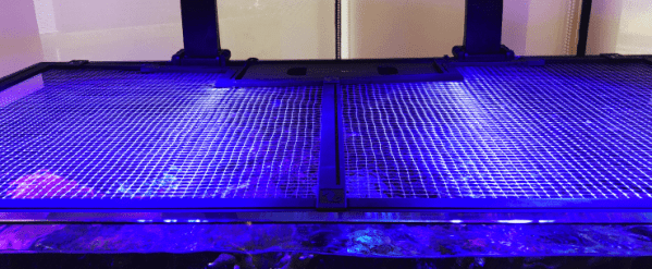 Red Sea Tank Net Screen 150 x 80 cm - Afbeelding 3