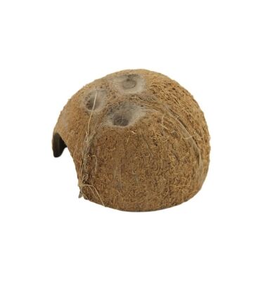 ceramic-nature-halve-kokosnoot