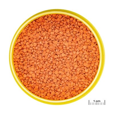 JBL Pronovo bits Grano M-2