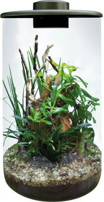 BioArt Wabi Kusa Cylinder 285 - Afbeelding 4