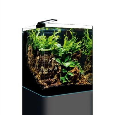 Dennerle Nano Cube Complete30 L - Dennerle Nano cube compleet 30 Liter - Afbeelding 3