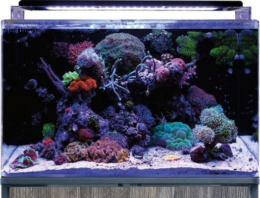 Blue Marine Reef 160 - aquarium