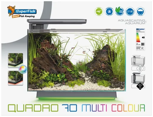 Superfish Quadro 70 Multi Colour - Afbeelding 5