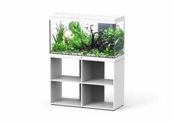 Aquatlantis Splendid 100 Ultra Aquariumset Met Open Meubel - Afbeelding 5