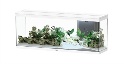 Aquatlantis Splendid 150 Ultra Aquarium - Afbeelding 3