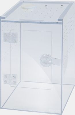 Repto Terra Clear Deluxe - Insecten Terrarium - Afbeelding 2