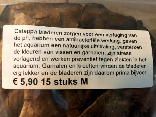 Catappa bladeren M - Afbeelding 2