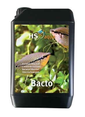 0031305 - Bacto 2,5 L