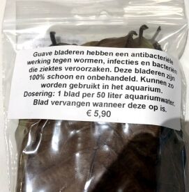 Guave bladeren - Afbeelding 5