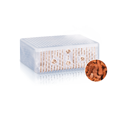 Juwel Phorax - Afbeelding 2