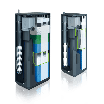 Juwel Phorax - Afbeelding 3