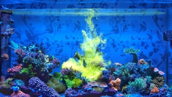 Red Sea Reef Energy AB+ - Afbeelding 3