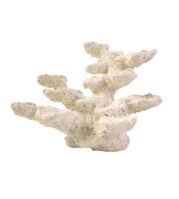 blue marine rock staand