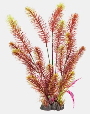 Superfish Art plant Myriophullum Red XL