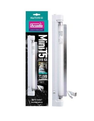 Arcadia T5 Mini 7% UVB 8 Watt