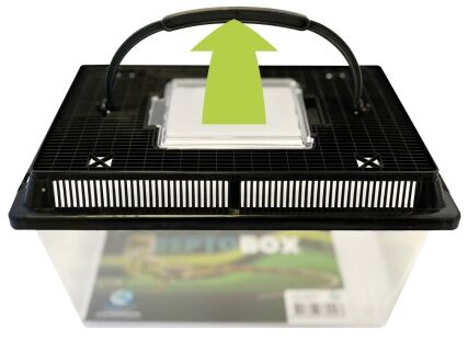 Repto Box 32,5x22x21cm - Transportbox Reptielen - Afbeelding 3