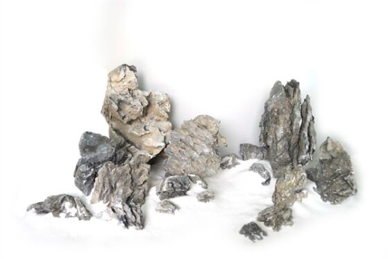 Wabi Kusa Mini Landscape