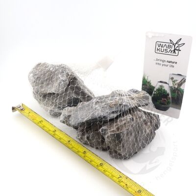 wabi kusa mini landscape 2