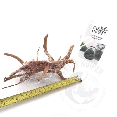 wabi kusa slim wood 1