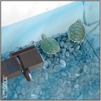 Sicce Shark Pro Nano 320 - Klein Binnenfilter - Afbeelding 6