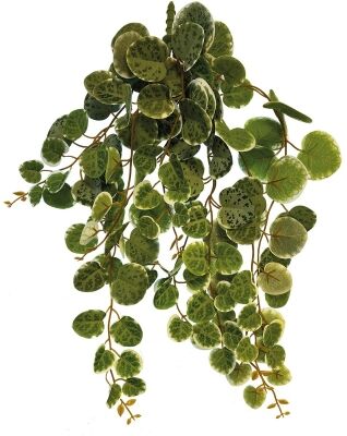 Repto Plant hanging Round Leaves - Kunstplant Terrarium