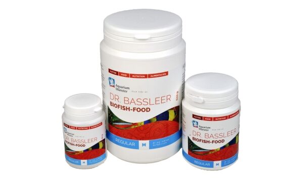 Dr. Bassleer Regular