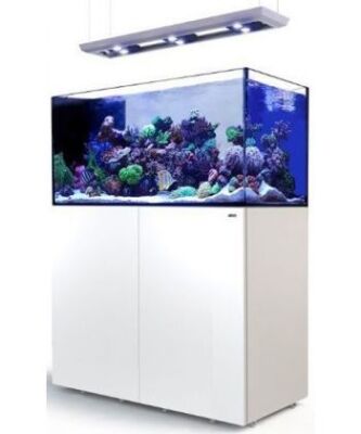 Red Sea Reefer Peninsula 500