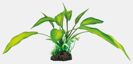 superfish-art-plant-25cm-cryptocoryne