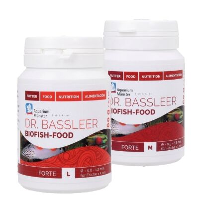bassleer forte