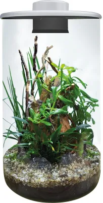 BioArt Wabi Kusa Cylinder 285